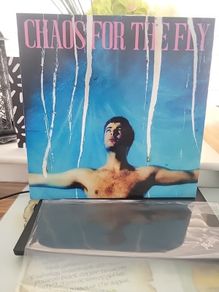 Grian Chatten (Fontaines dc) chaos for the fly blood records vinyl limited to 500