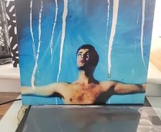 Grian Chatten (Fontaines dc) chaos for the fly blood records vinyl limited to 500