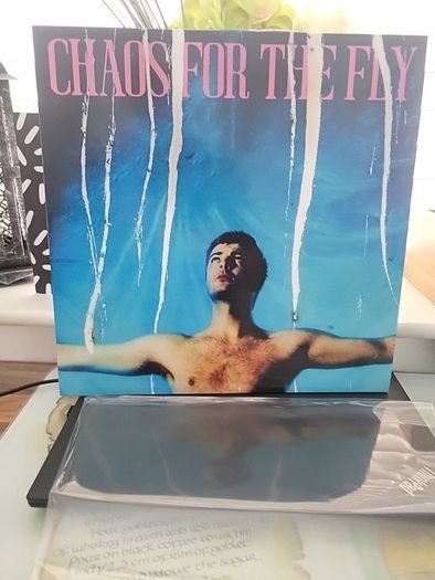 Grian Chatten (Fontaines dc) chaos for the fly blood records vinyl limited to 500
