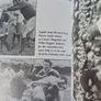The Irish Lions, 1896 - 2001 / Barry Coughlan/ Signed/ 2001 Image 8