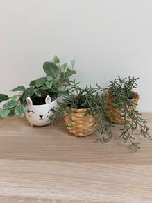 Set of 3 Plant Pots & Artificial Plants