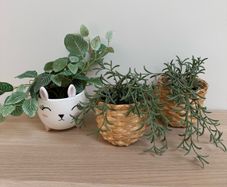 Set of 3 Plant Pots & Artificial Plants