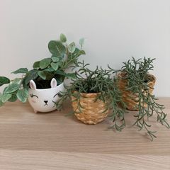 Set of 3 Plant Pots & Artificial Plants