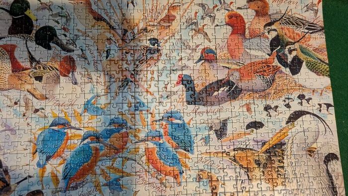 1000 jigsaw puzzle