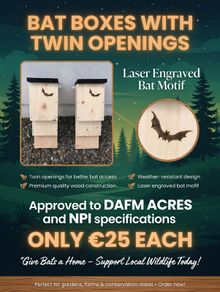 Bat boxes