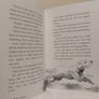 Come Down Golden, Children,s Story Book By Diana Noonan Image 5