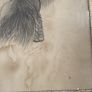 Amazing Antique, C. M. KEANE, NAPOLEON A EYLAU, charcoal on paper Image 3