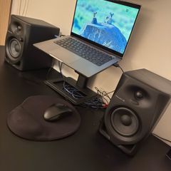 Pioneer DJ DM-40D Monitors