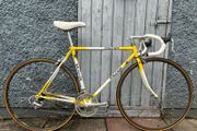 Raleigh 51cm 531