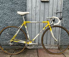 Raleigh 51cm 531
