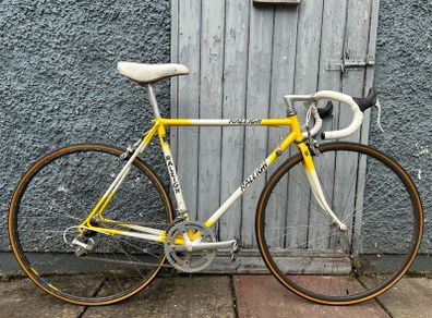 Raleigh 51cm 531