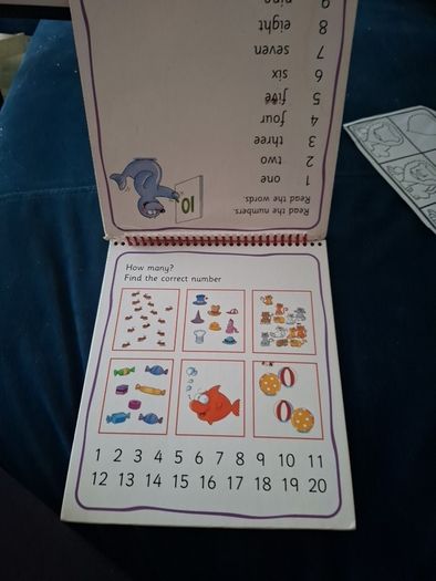 Little Flipper Numbers Book