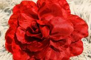 Red Flower Hair Clip Bold, Romantic &amp; Versatile