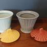 Fabulous Pair of Vintage Art Deco Style Mid Century SylvaC Lidded Preserves Pots Shape Number 2172, in Fabulous 50s Colourways, Priced at E30 Each, or E55 for the Pair Image 8