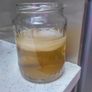 Organic Kombucha Scoby With Starter Tea / Organic Fermented Probiotic Drink / Tea Image 2