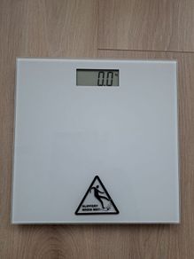 body scale