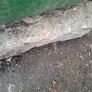 Granite pillar / post Image 6