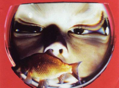 Feeder - Swim (cd)
