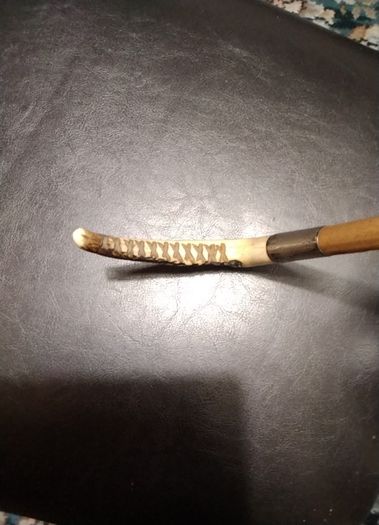 Horse   Cane