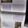 Junior Cert Religeon, All About Faith. Image 3