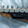 ESP Ltd + TronicalTune Tuner Image 5