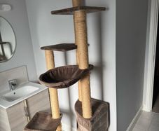 Cat Tree