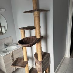 Cat Tree