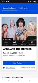 Amyl and The Sniffers