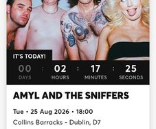 Amyl and The Sniffers