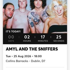 Amyl and The Sniffers
