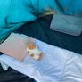 6 people outdoor tent Image 7
