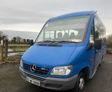 Mercedes Sprinter Ford Transit Buses for Sale