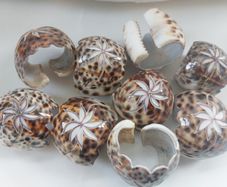 Vintage hand-carved Tiger Cowrie Napkin Rings, set of 18