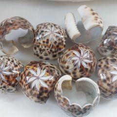 Vintage hand-carved Tiger Cowrie Napkin Rings, set of 18