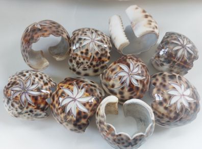 Vintage hand-carved Tiger Cowrie Napkin Rings, set of 18