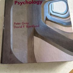 Psychology BSC BA curriculum Psychology Peter Gray Research Methods for Dummies Psychology Statistics for Dummies