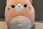 Squishmallows