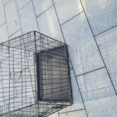 pet