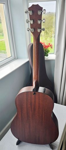 Taylor 517e Builder's Edition