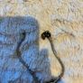 Genuine Pandora bracelet with Disney Mickey Mouse charm Image 3