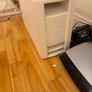 bose Image 2
