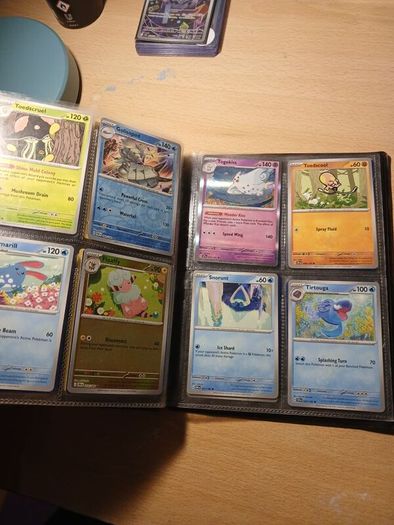 Full pokemon card binder