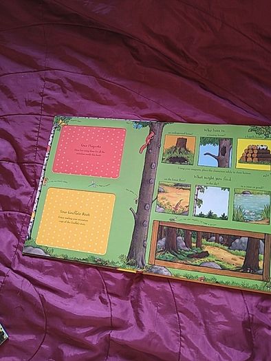 the gruffalo magnetic book