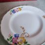 Vintage side  Plate Alfred Meakin as hanging plate. Image 6