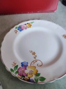 Vintage side  Plate Alfred Meakin as hanging plate.