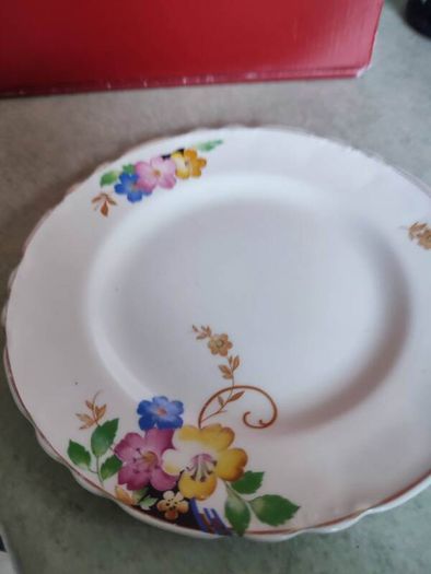 Vintage side  Plate Alfred Meakin as hanging plate.