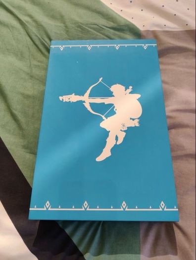 The Legend Of Zelda: Breath Of The Wild - Creating a Champion Hero's Edition