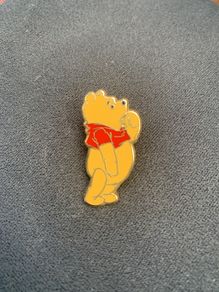 Disneyland Pin