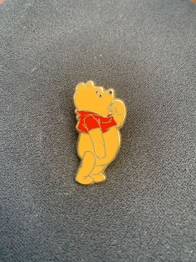 Disneyland Pin