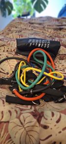 Complete Home Gym Bundle - 20kg Decathlon Dumbbell Kit + Premium PTP & Phoenix Resistance Bands